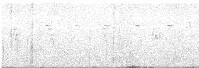 Карликовая нектарница - ML594148691