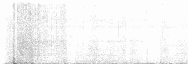 White-eyed Vireo - ML594151151