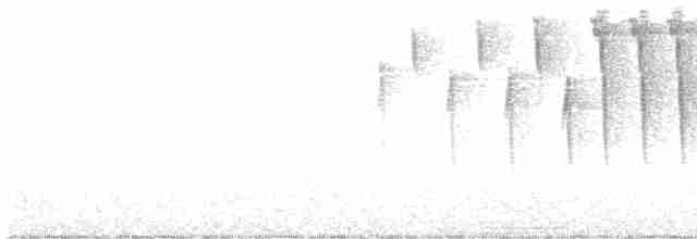 Tennessee Warbler - ML594163501