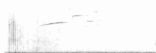 Hermit Thrush (guttatus Group) - ML594209781