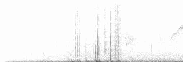 Batı Amerika Sinekkapanı (occidentalis/hellmayri) - ML594221761