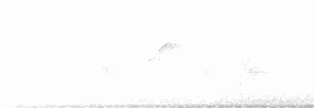 Batı Amerika Sinekkapanı (occidentalis/hellmayri) - ML594221911