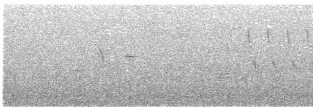 Пронурок сірий - ML594231681