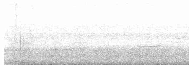 Чернокрылая пиранга - ML594326771