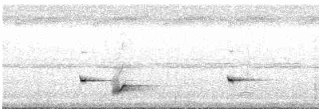 Акациевый крапивник - ML594339191