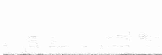 Cory's Shearwater (borealis) - ML594364441