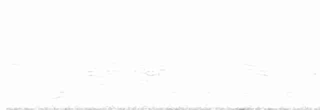 Sepiasturmtaucher (borealis) - ML594364451