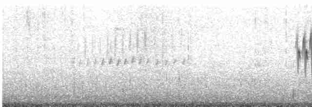 ユキヒメドリ（oreganus グループ） - ML594435011