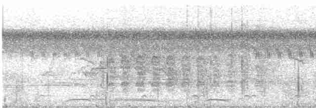 Kestane Kanatlı Tepeli Guguk - ML594438391