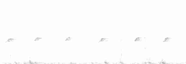 Синьохвіст білобровий - ML594451931