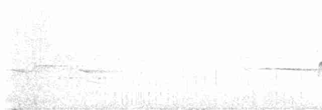Синьохвіст тайванський - ML594452201