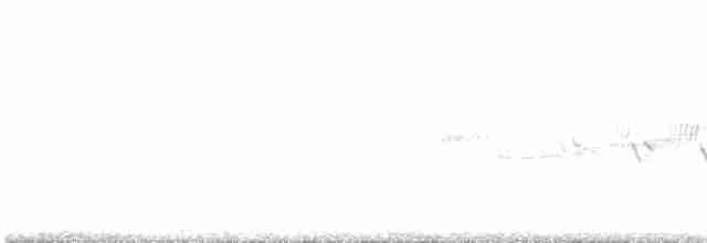 Cerulean Warbler - ML59445641