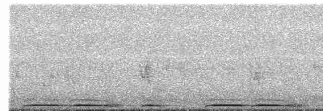 Eurasian Collared-Dove - ML594462431