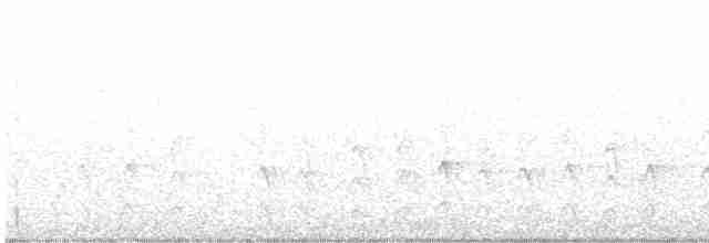 White-plumed Honeyeater - ML594475021