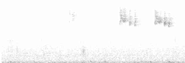 White-browed Scrubwren - ML594476051
