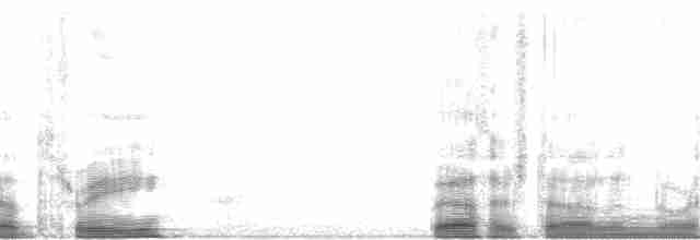 Пухівка горбатодзьоба - ML59448
