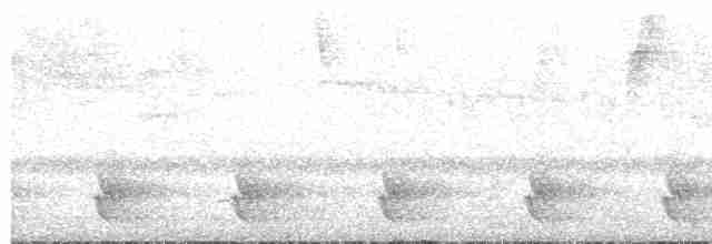 Rostbrust-Ameisendrossel - ML594488741