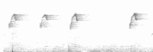Сіпарая чорночерева - ML594500291