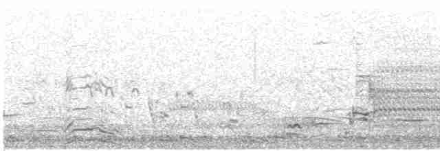 Делавэрская чайка - ML594502361