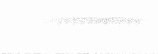 Gray-mantled Wren - ML594510281