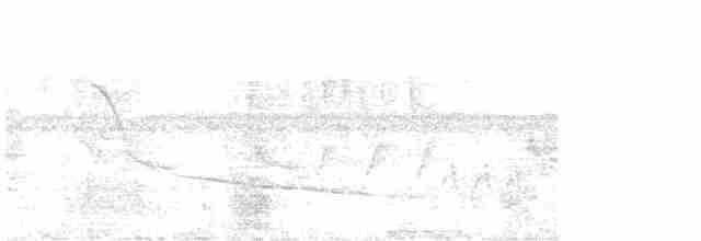 Зернолуск чорнокрилий - ML594533561