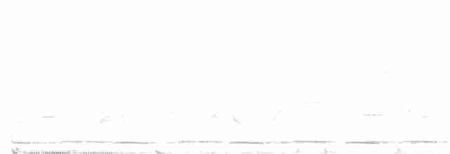 Toucan Barbet - ML594537011
