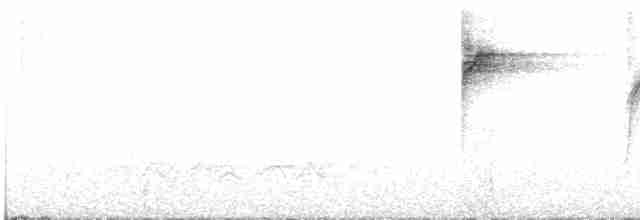 White-browed Warbler - ML594600291