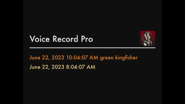Green Kingfisher - ML594617241