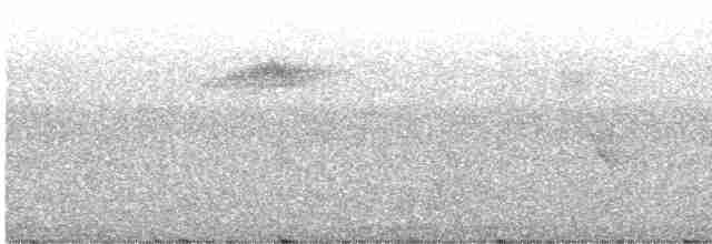 Мухоїд світлогорлий (підвид cinereiceps) - ML594647751