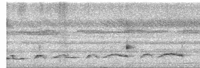 Lyre-tailed Nightjar - ML594653311