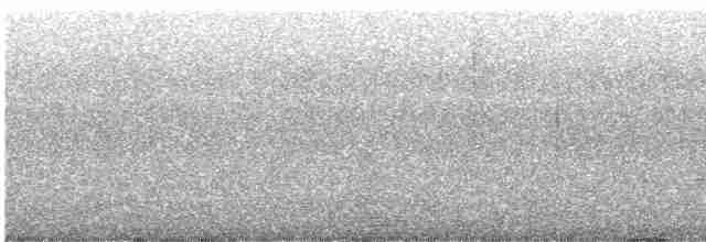 Жовна смугастобока [група lineatus] - ML594683481
