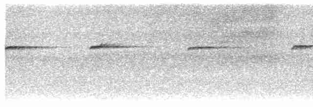 Сероспинная вилохвостка - ML594701731