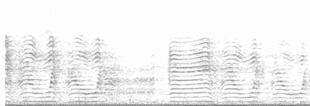 buřňák šedý (ssp. borealis) - ML594710911