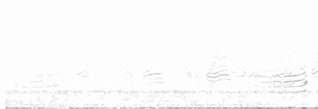 Cory's Shearwater (borealis) - ML594710921