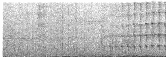 Тиран-інка буроголовий - ML594722551