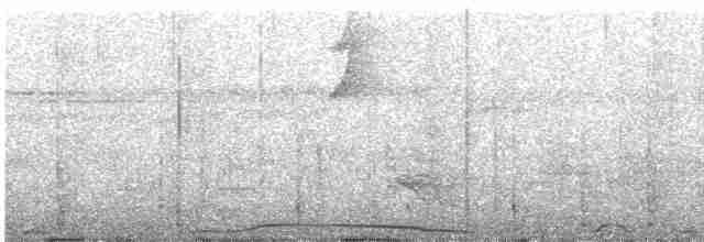 holub neotropický - ML594724791