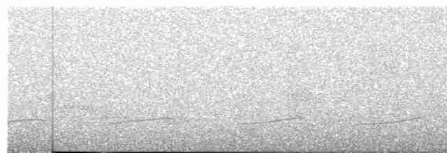 Тиран-крихітка світлогорлий - ML594726751
