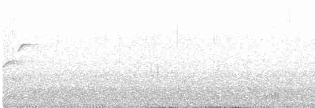 Batı Amerika Sinekkapanı (occidentalis/hellmayri) - ML594745471