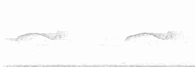Шуліка-зубодзьоб рудогрудий - ML594746841