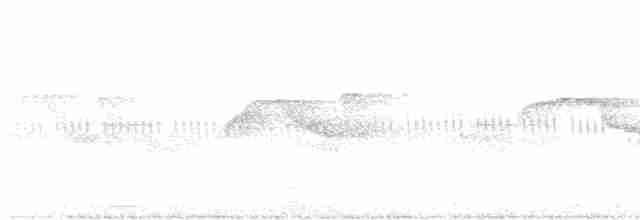 Шуліка-зубодзьоб рудогрудий - ML594746851