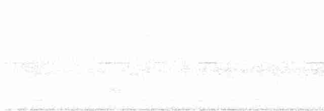 Шуліка-зубодзьоб рудогрудий - ML594746861