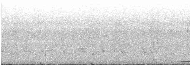 holub karibský - ML594755361