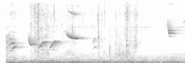 Bluish-gray Saltator - ML594773211