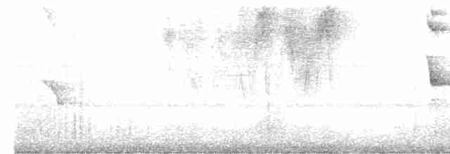 Зернолуск сірий - ML594773241