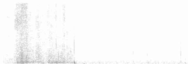 Лиска жовтодзьоба - ML594790291