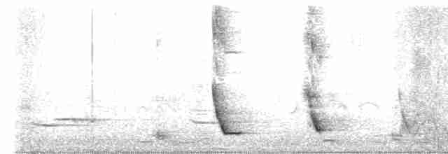 maorihonningeter - ML594804981
