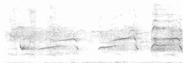 ミサゴ（cristatus） - ML594824631