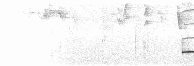 Kestane Enseli Yerçavuşu - ML594845081