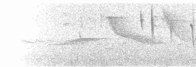 Rufous-collared Sparrow - ML594846781