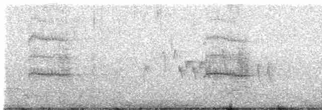 Common Tern - ML594870731